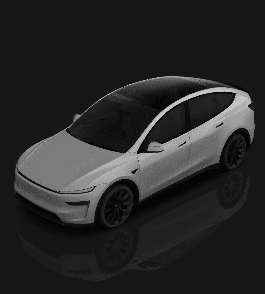 Model Y L