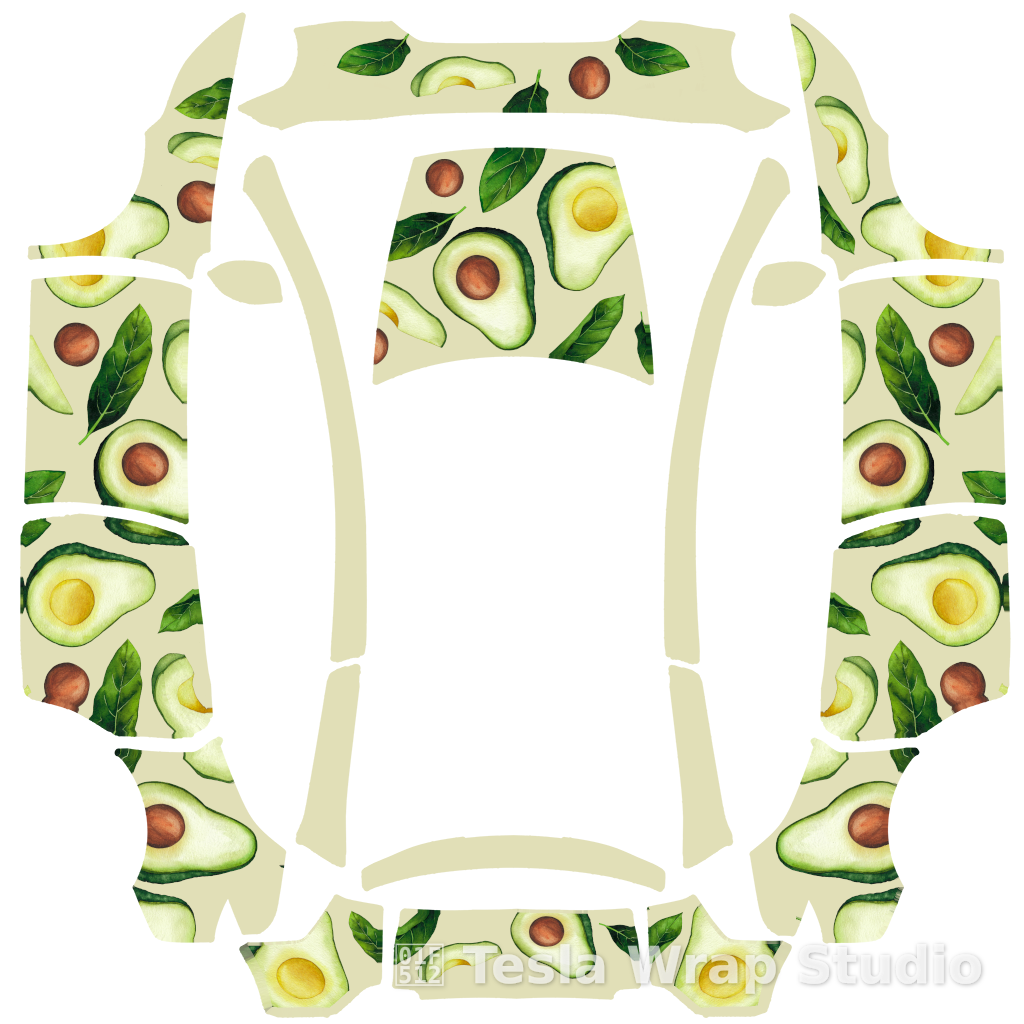 Model Y L #9483 水果条纹 梨子🍐