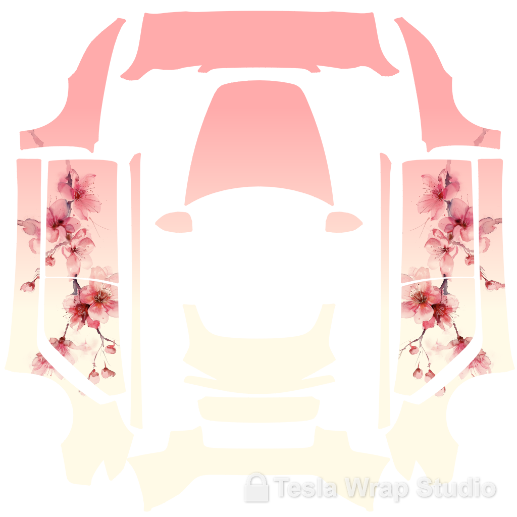 Model 3 (2024+) Standard & Premium #5956