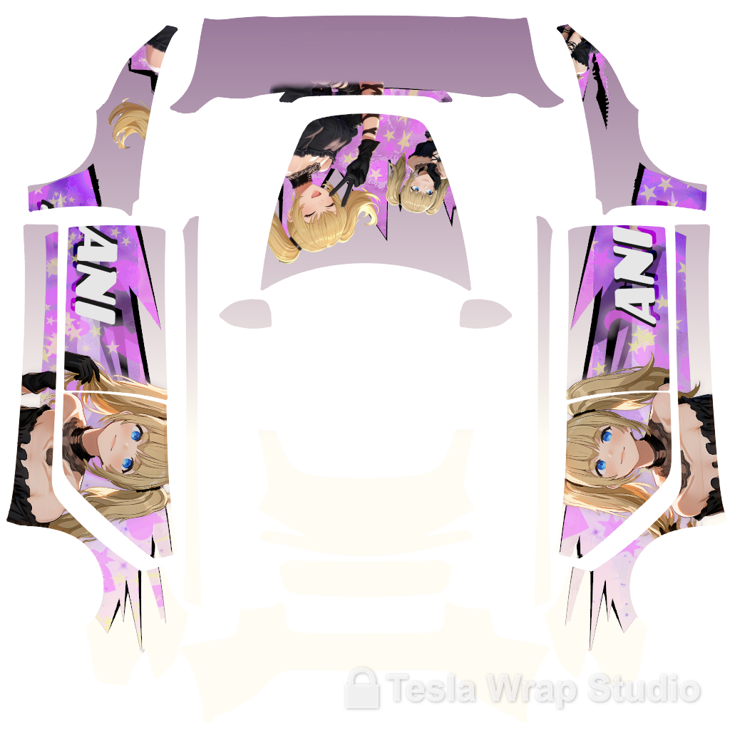 Model 3 (2024+) Standard & Premium #6457