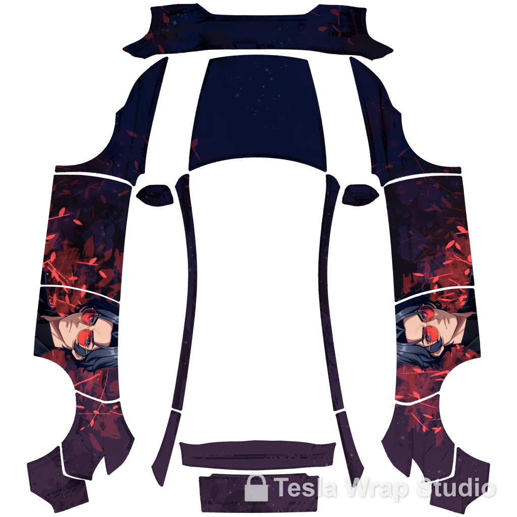 Model Y (2025+) Standard #5642