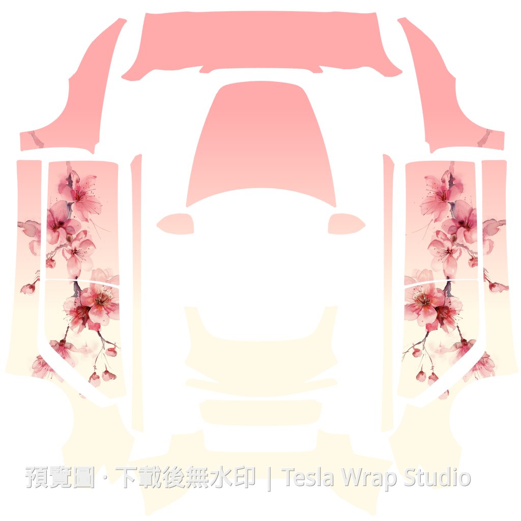 Model 3 (2024+) Standard & Premium 編號 #5956 自訂範本