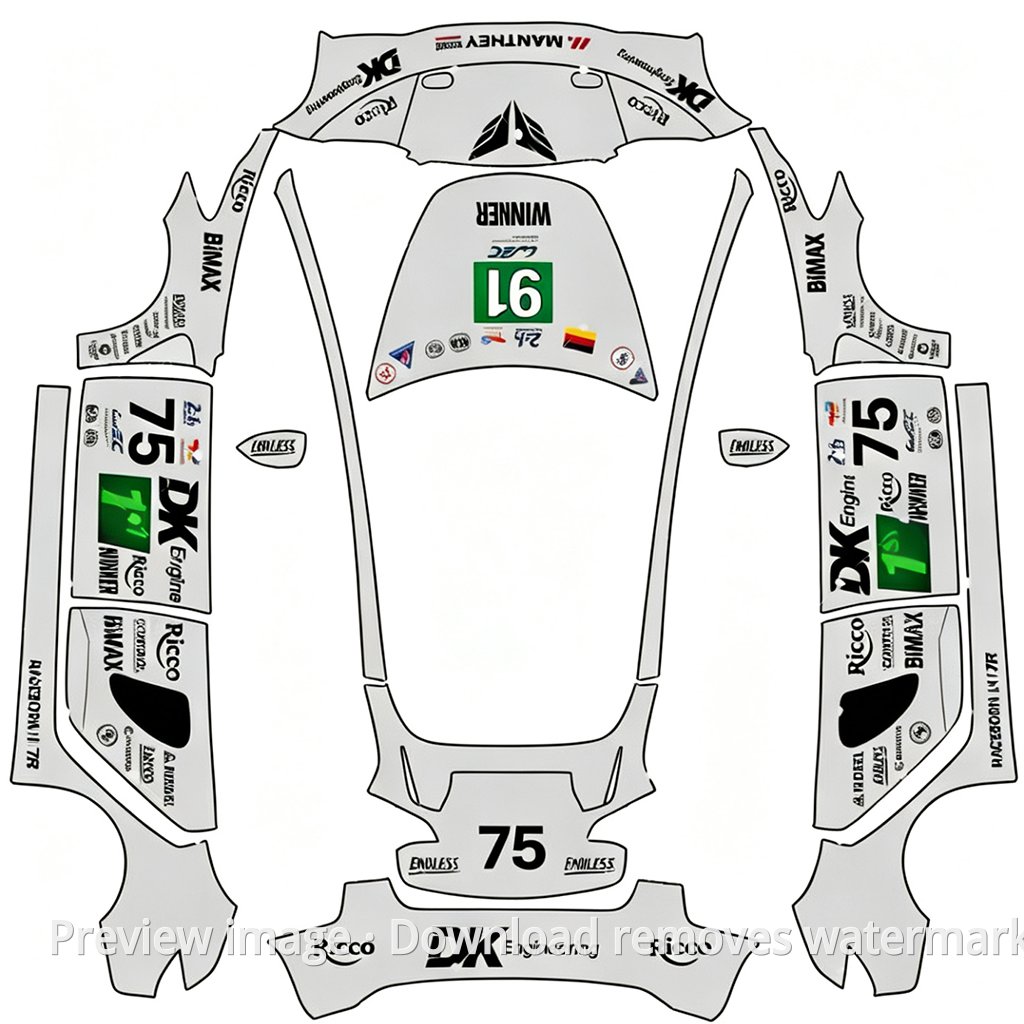 Porsche Le Mans Champion Livery - Model 3