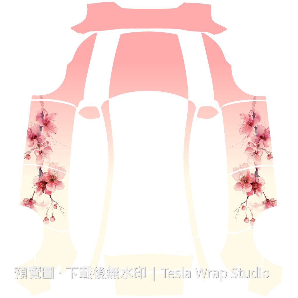 Model Y (2025+) Standard #4894 車體外觀範本