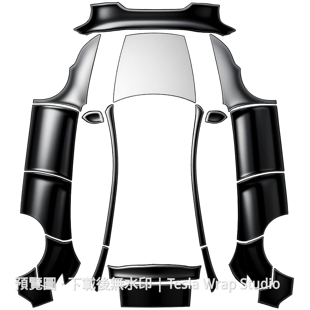 Model Y 2025 自訂車身範本