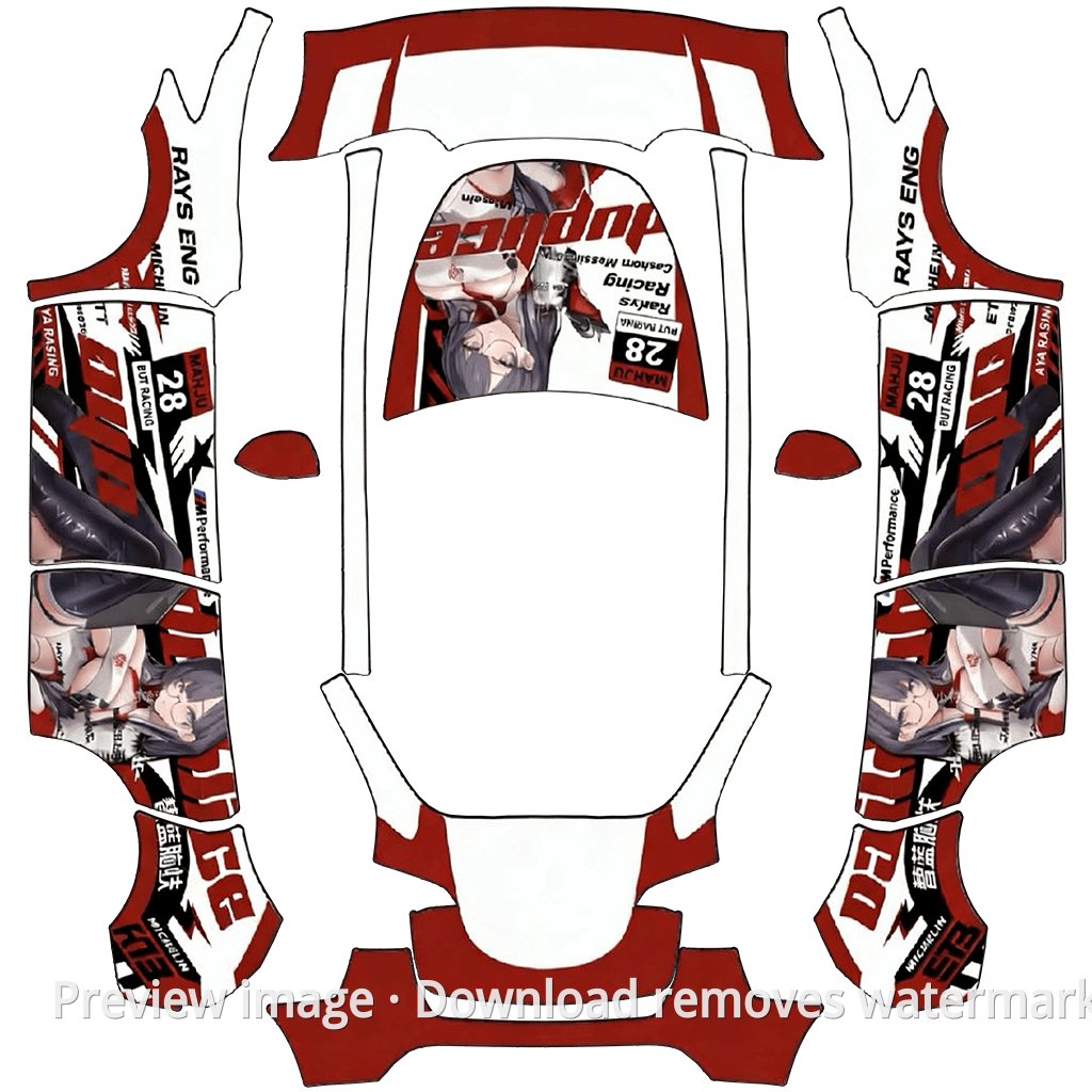 Premium Racing Livery 2 - Model Y