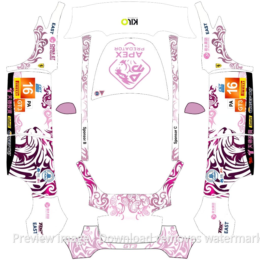 Porsche GT3 Premium Skin - Model Y
