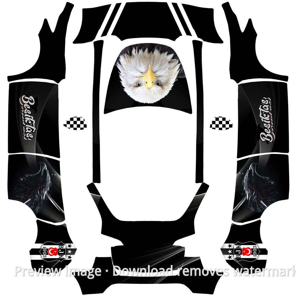 Birdman Theme Model Y Wrap Template