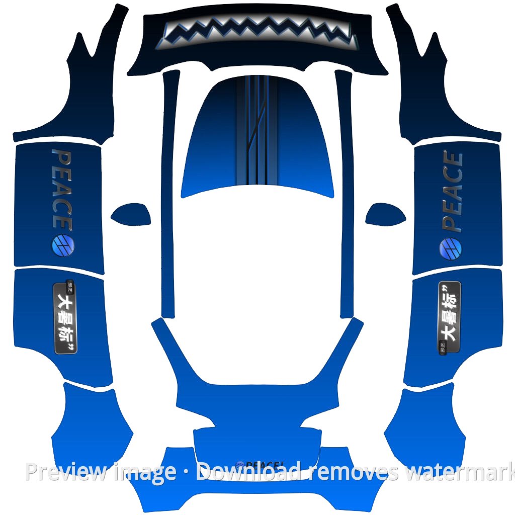 Wang Dashu Exclusive Wrap - Model Y
