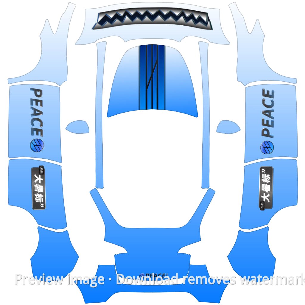 Wang Dashu Exclusive Skin - Model Y