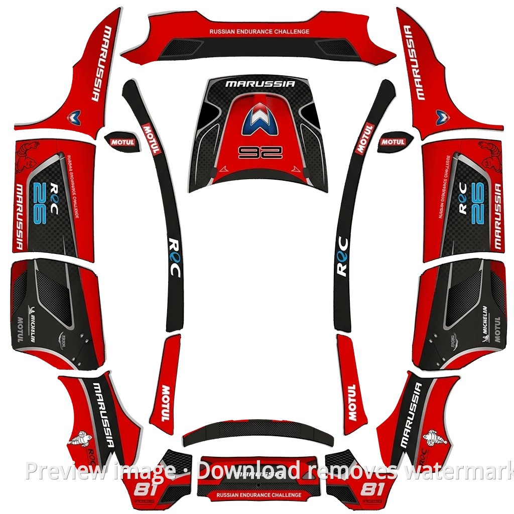 Premium Racing Livery 5 - Model Y L