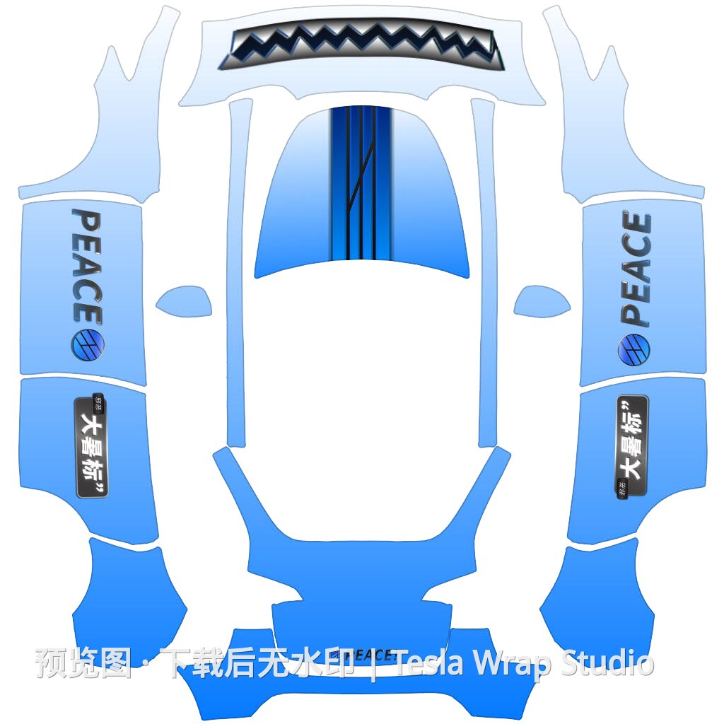 王大暑专用皮肤 - Model Y - Model Y 特斯拉喷漆车间模板