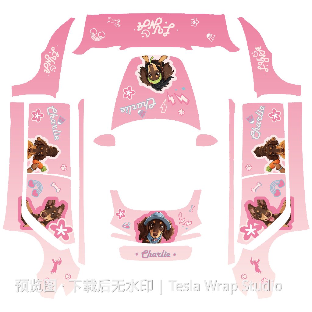 Charlie 风格 - Model 3 (2024+) Standard & Premium