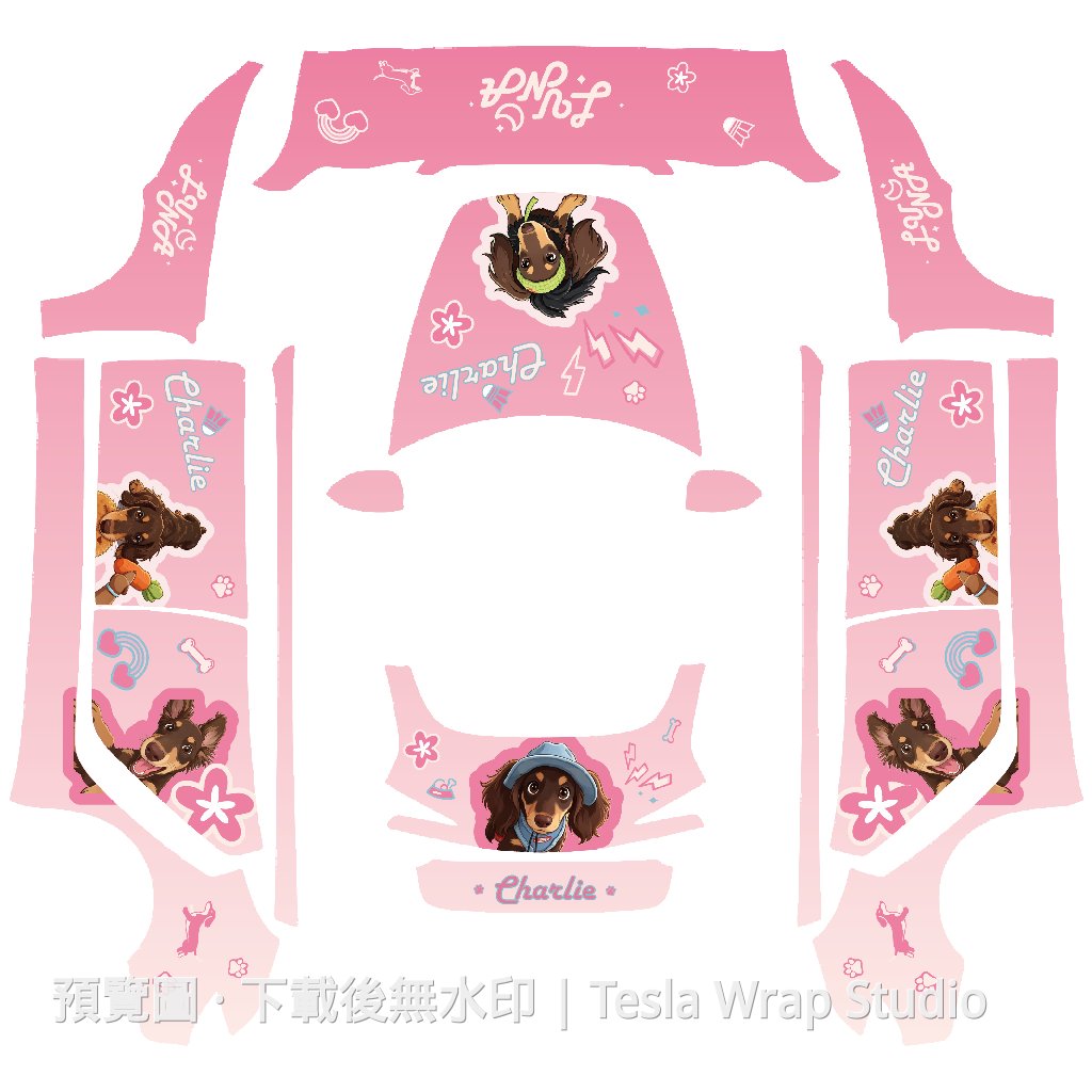 Charlie 風格 - Model 3 (2024+) Standard & Premium
